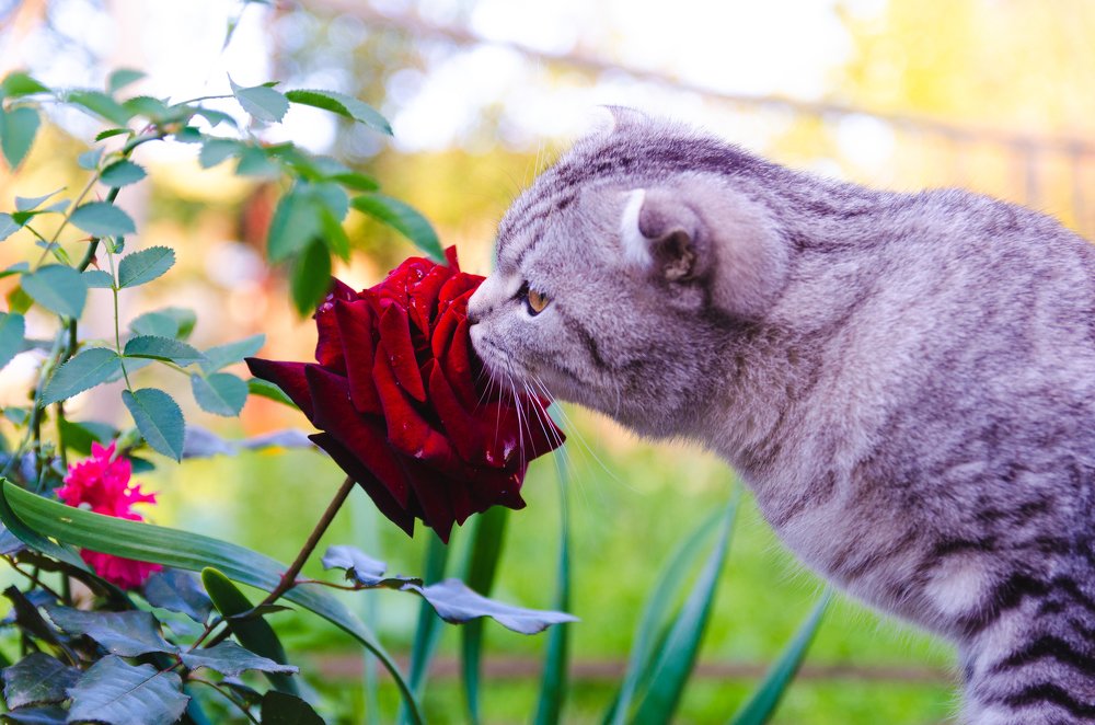 Photograph by Дмитрий Мальцев