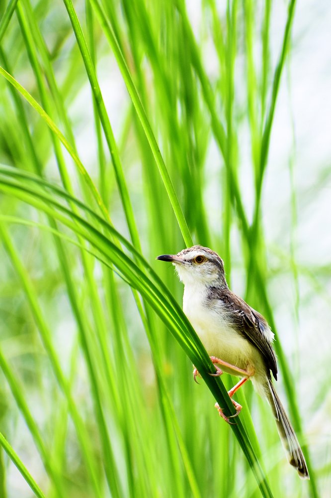 Photograph by MONISH POLLEY