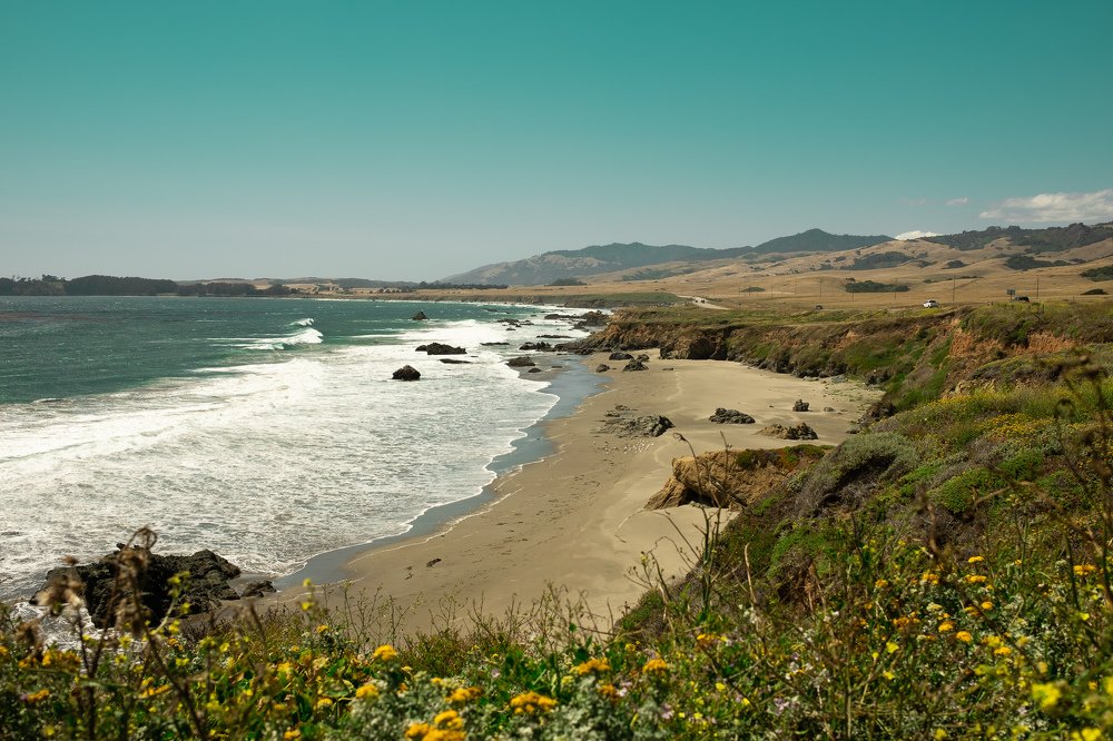 Photograph by Olena Yaroslavska