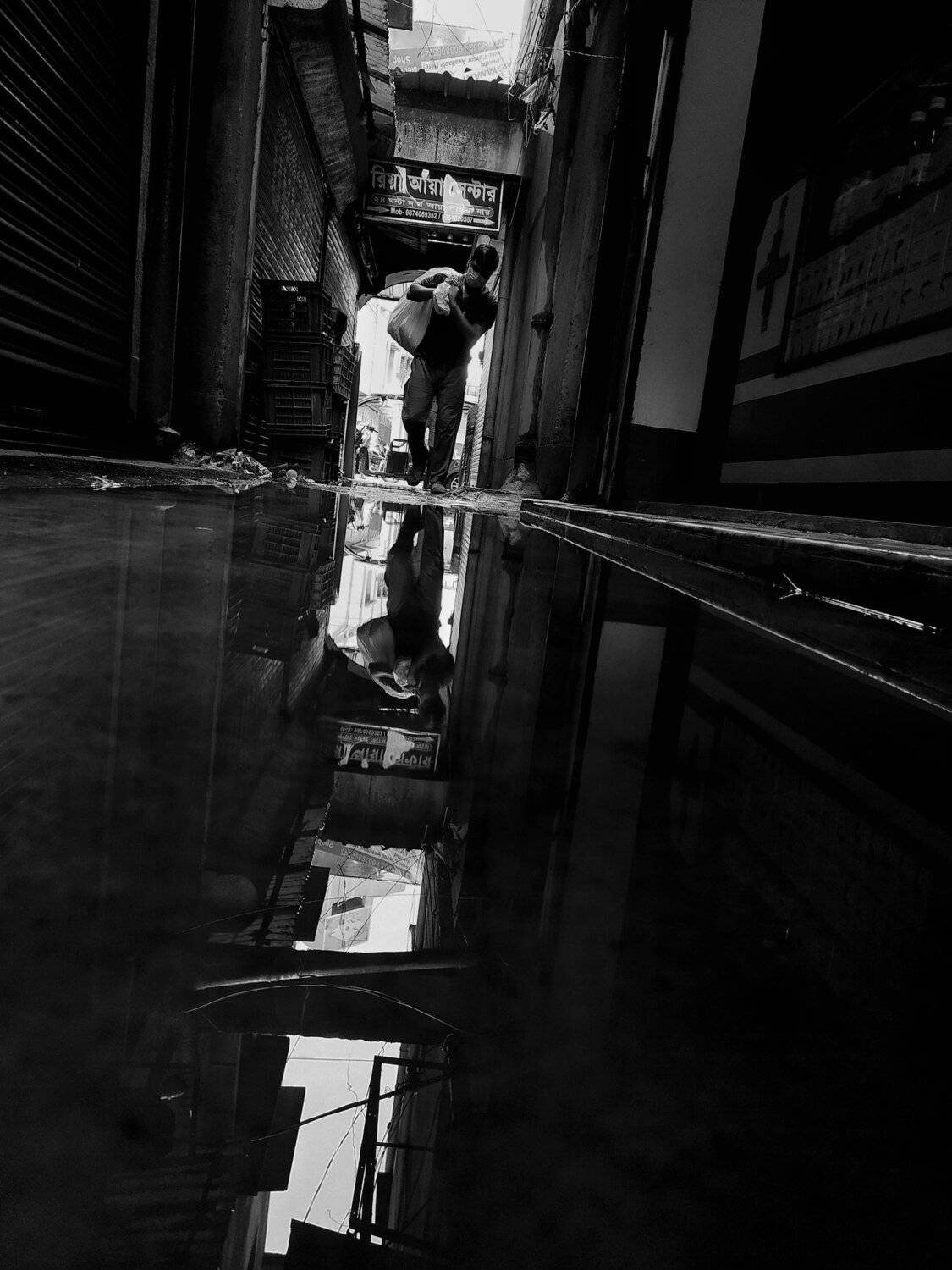 Photo #4982754