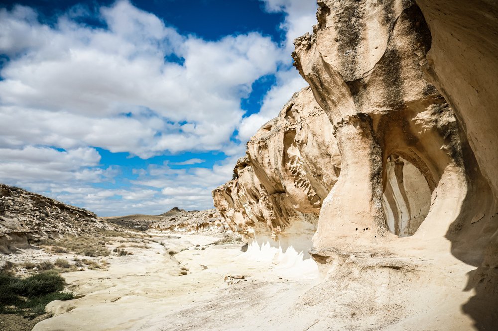 Photograph by Инна Федорова