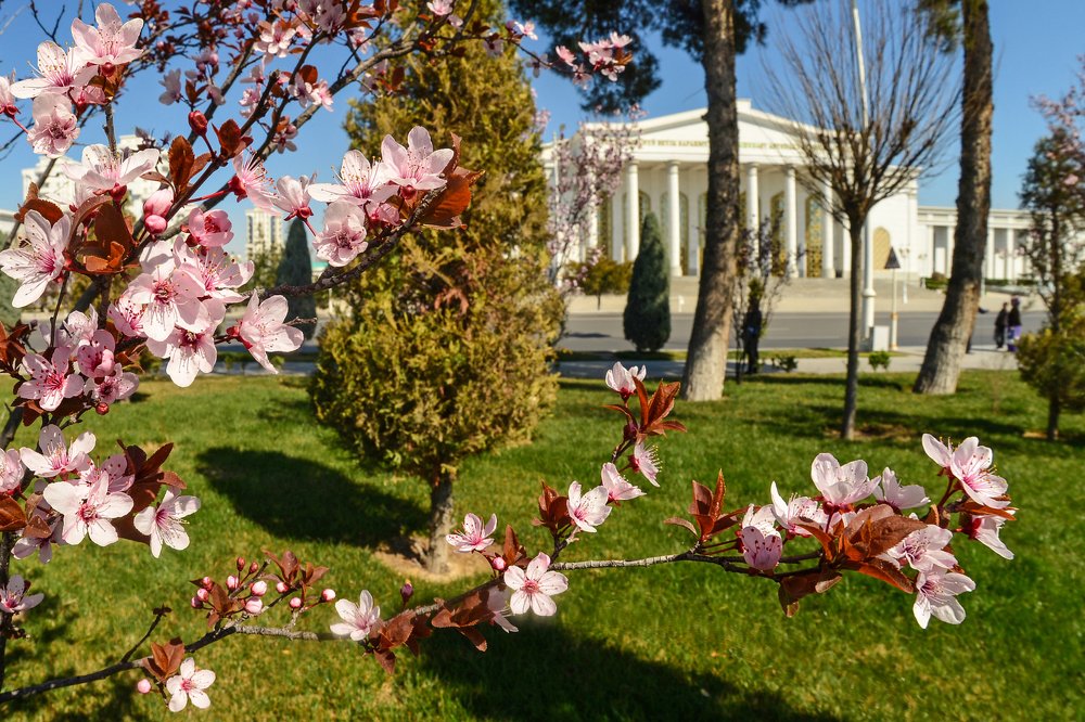 Фотография автора Игорь Ломов