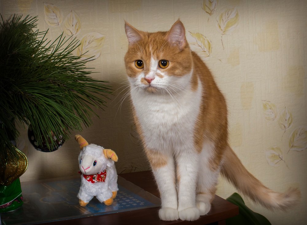 Photograph by Александр Пушкарев