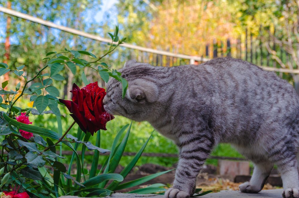 Photograph by Дмитрий Мальцев