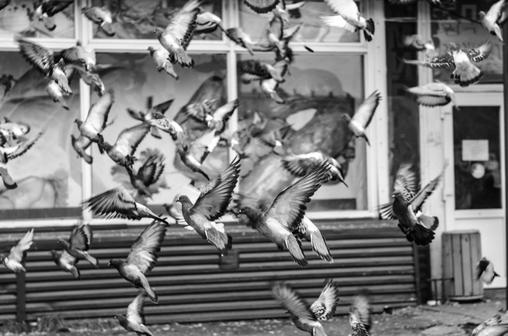 Photograph by Равиль Исмаилов