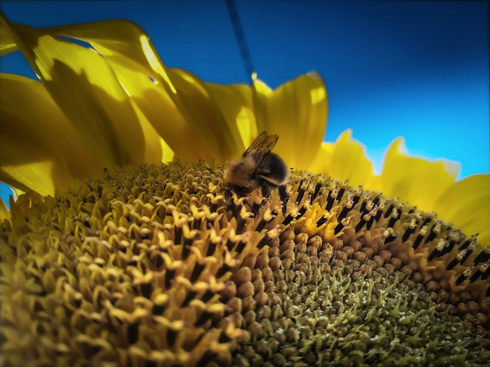 Photograph by Дмитрий Малышев