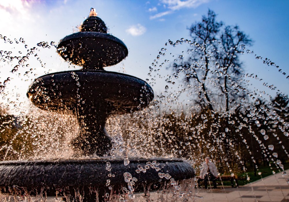 Photograph by Алена Жилина