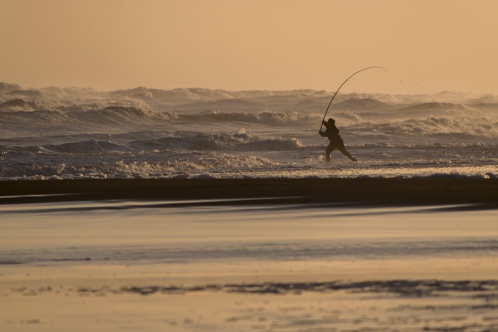 Photograph by Lucia Ana Juárez