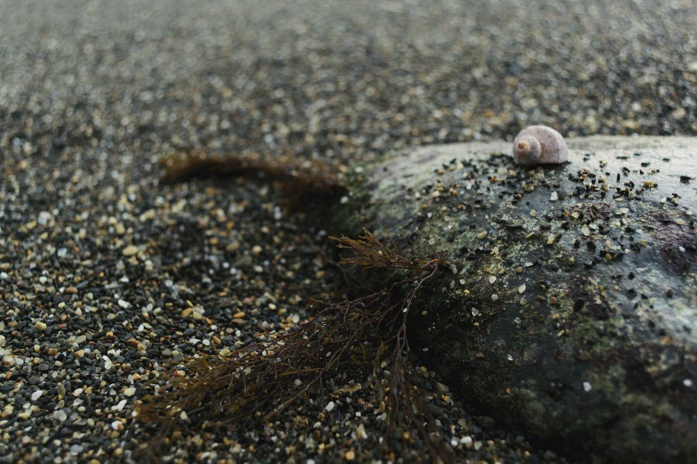 Photograph by Алена Жилина