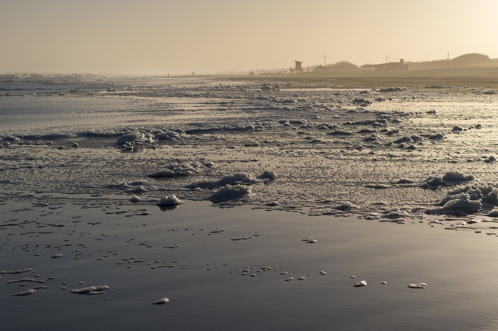 Photograph by Lucia Ana Juárez