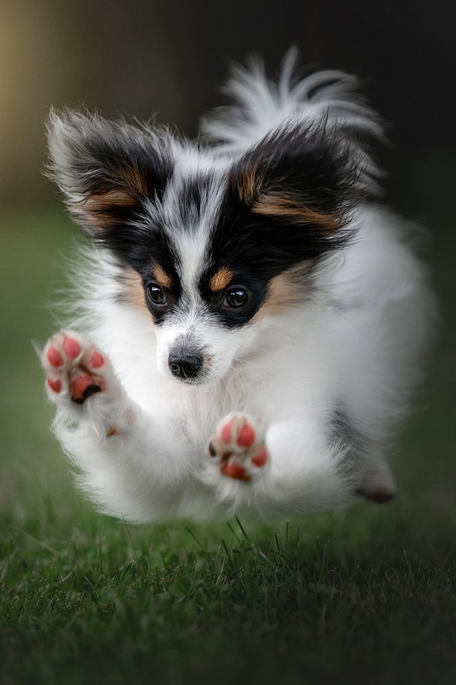 Photograph by Оксана Серова