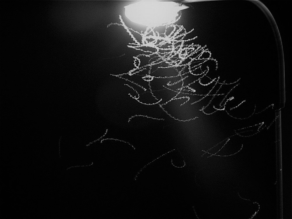 Photograph by Мария Коробова