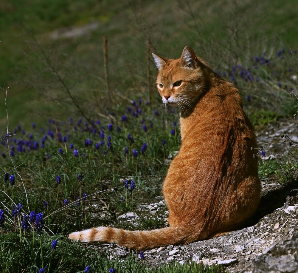 Photograph by Игорь Куленко