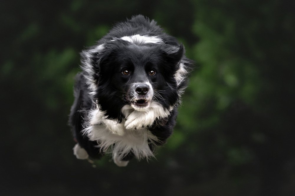 Photograph by Оксана Серова