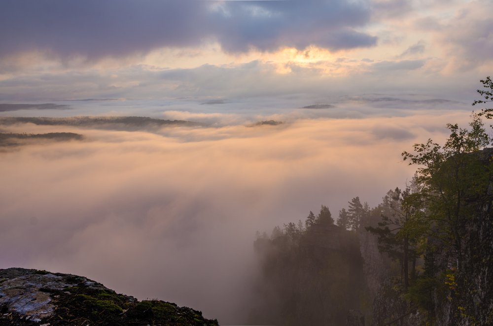 Photograph by Дмитрий Мальцев