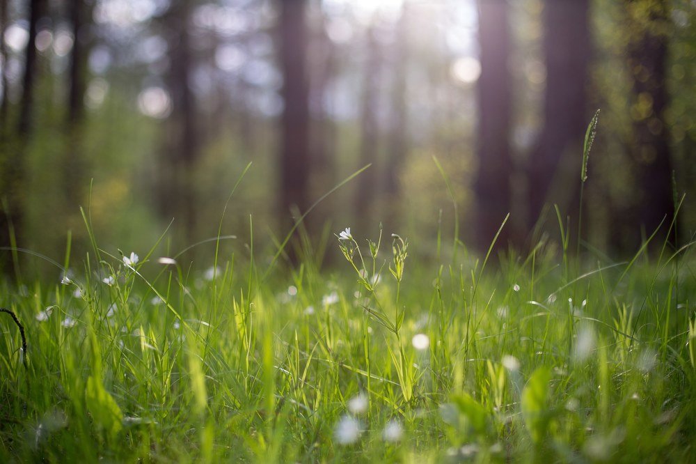 Фотография автора Виталий Зейфер
