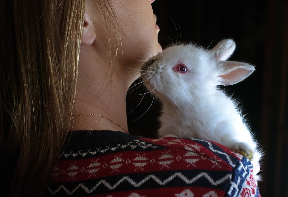 Photograph by Анатолий Святой