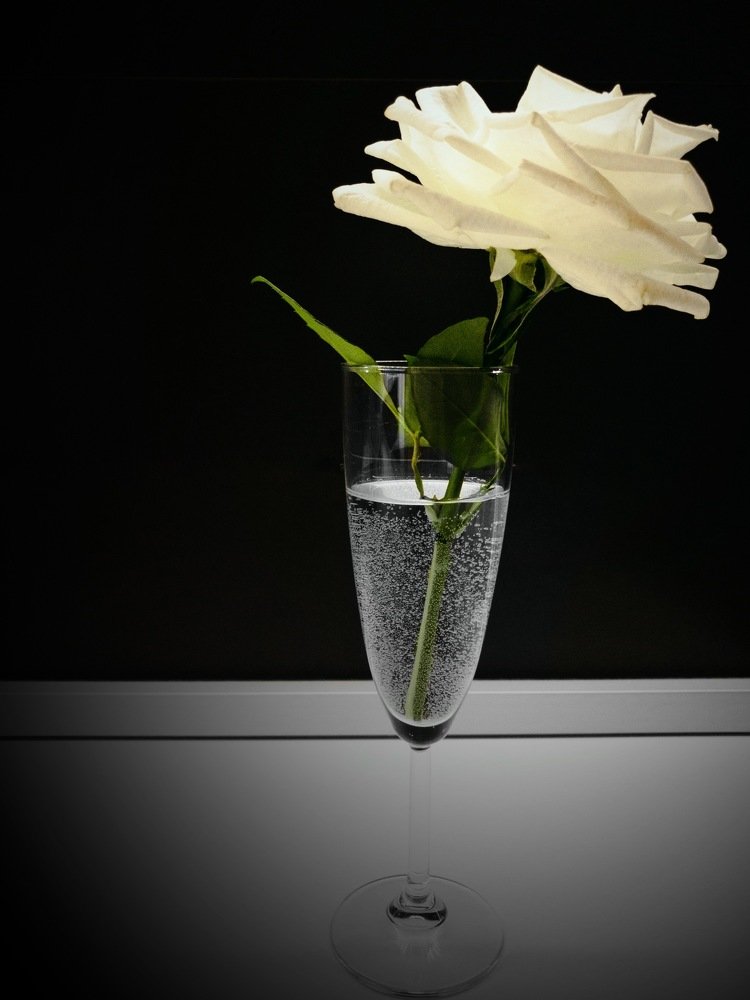 Photograph by Ольга Мукина