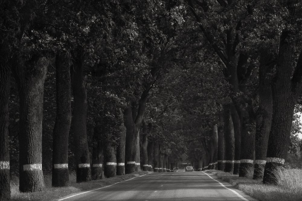 Photograph by Виктор Кокшаров