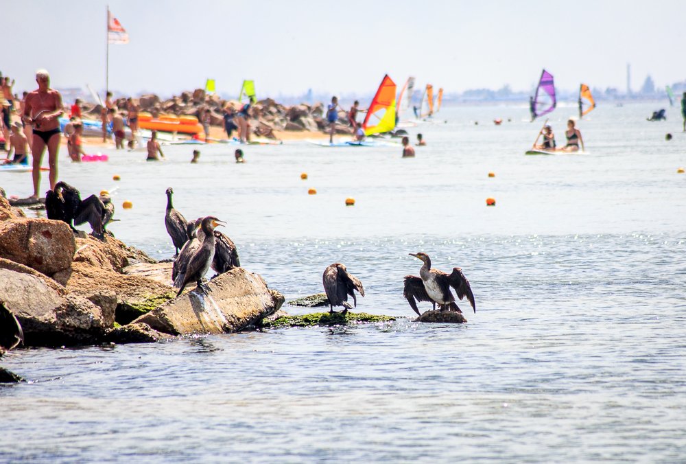 Photograph by Татьяна Куликова