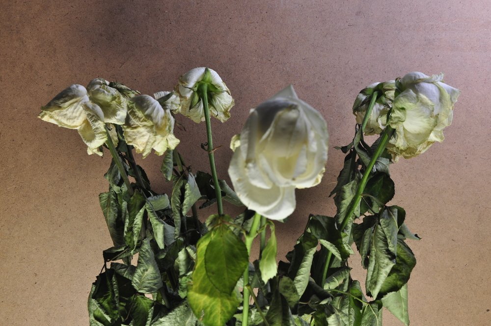 Photograph by Татьяна Маринич