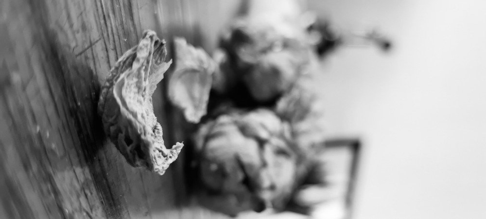 Photograph by Valerie Heilis
