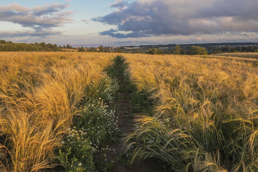 В свете заката