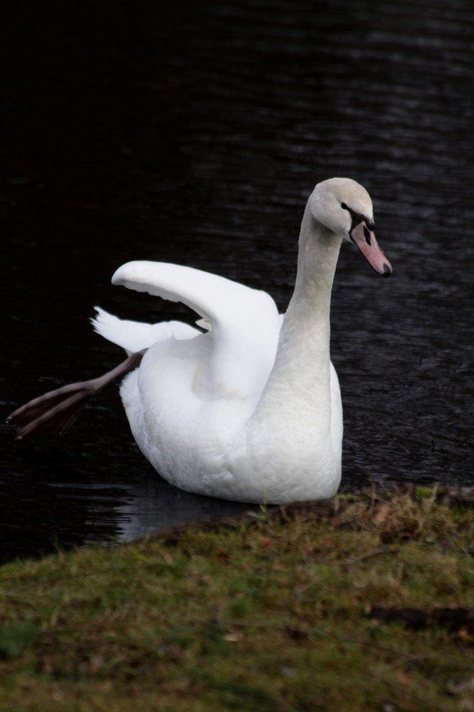 Photograph by Анастасия Солодкая