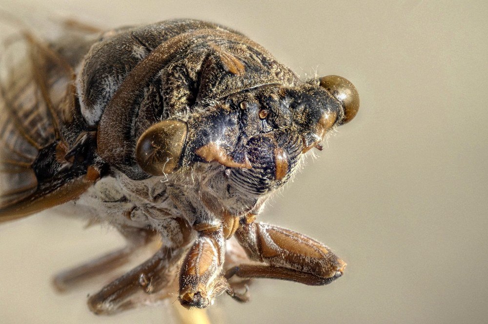 Photograph by Geo Lib