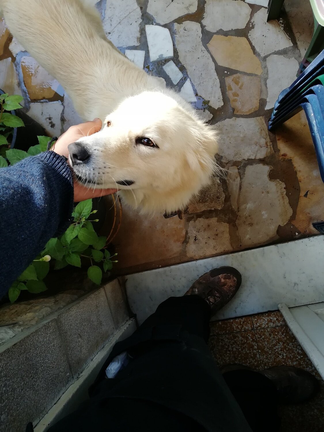 Photo #4983335