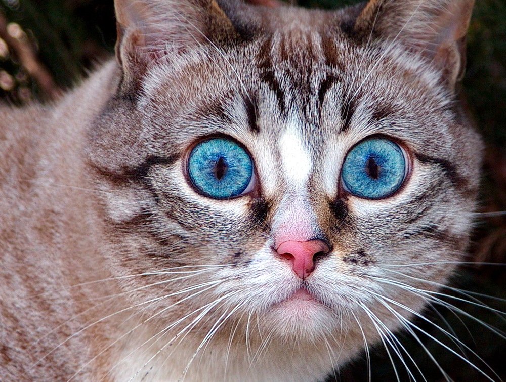 Photograph by Александр Столяров