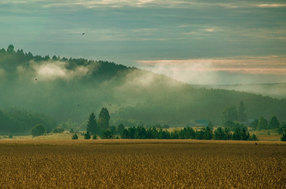 Photograph by Alisa Matveeva