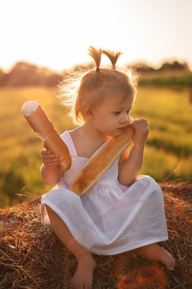 Сбор пшеницы