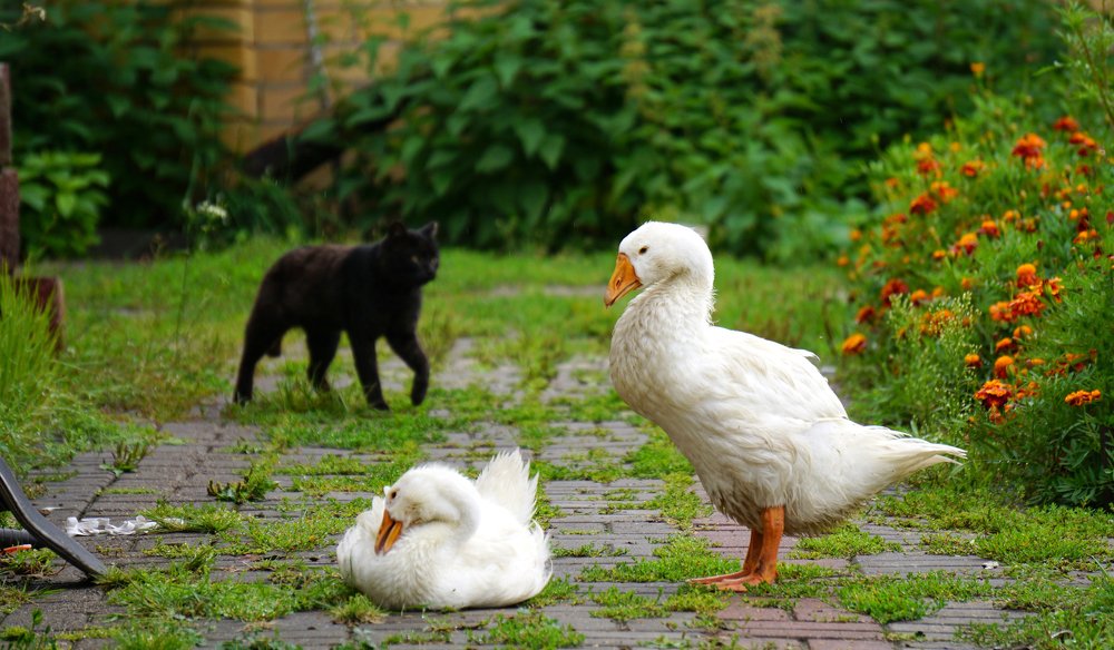 Photograph by Блюмина Елена