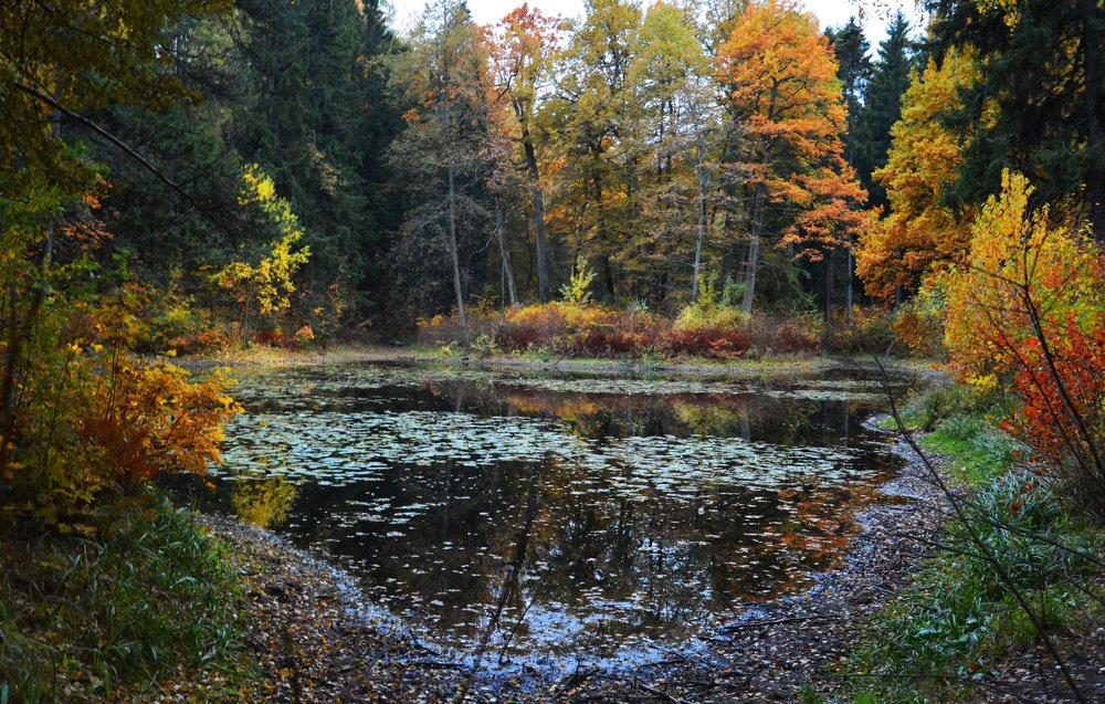 Photograph by Светлана Муравьева