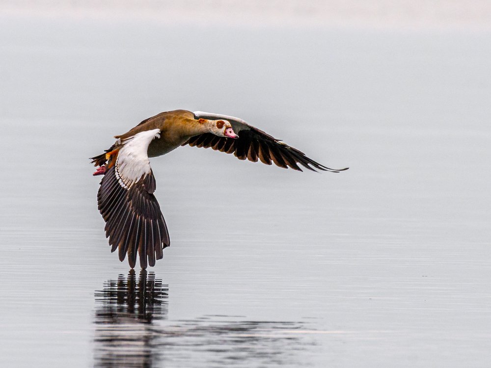 Photograph by Ricardo Núñez Montero