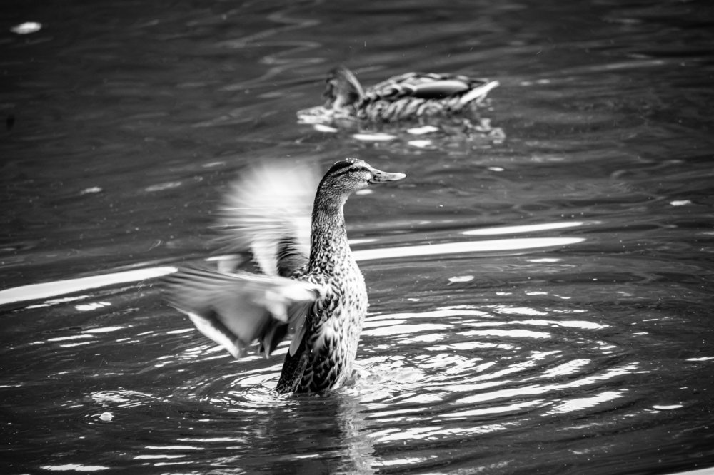 Водные процедуры