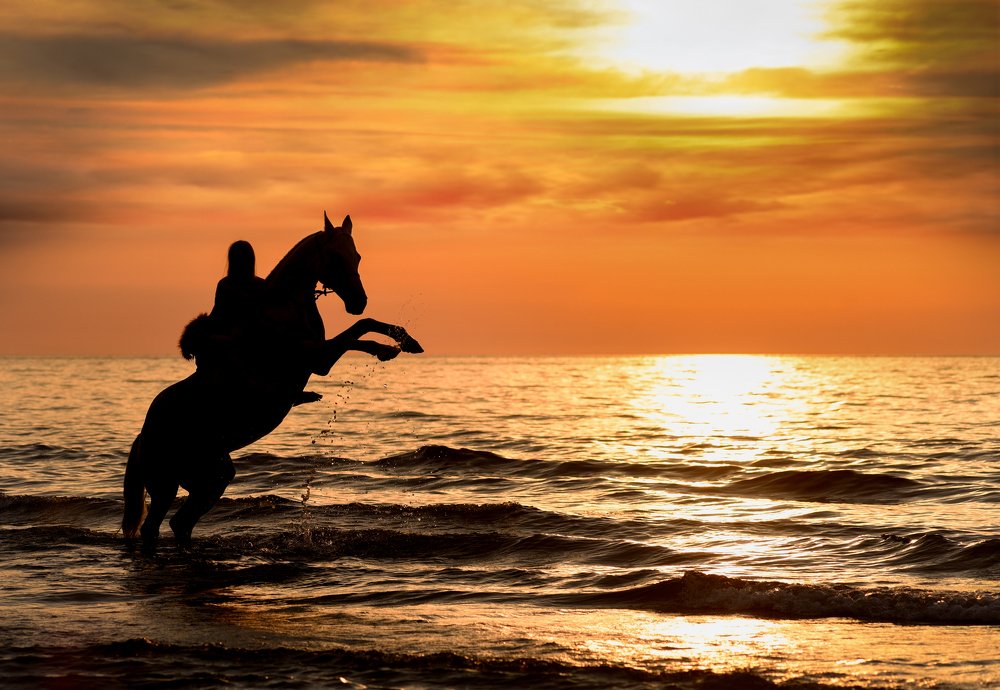 Фотография автора Marta Goch