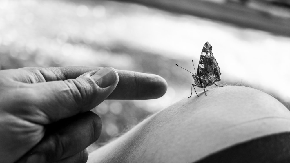 Фотография автора Josef Nový