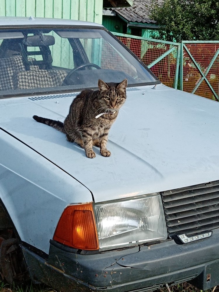 Photograph by нина кутчиева