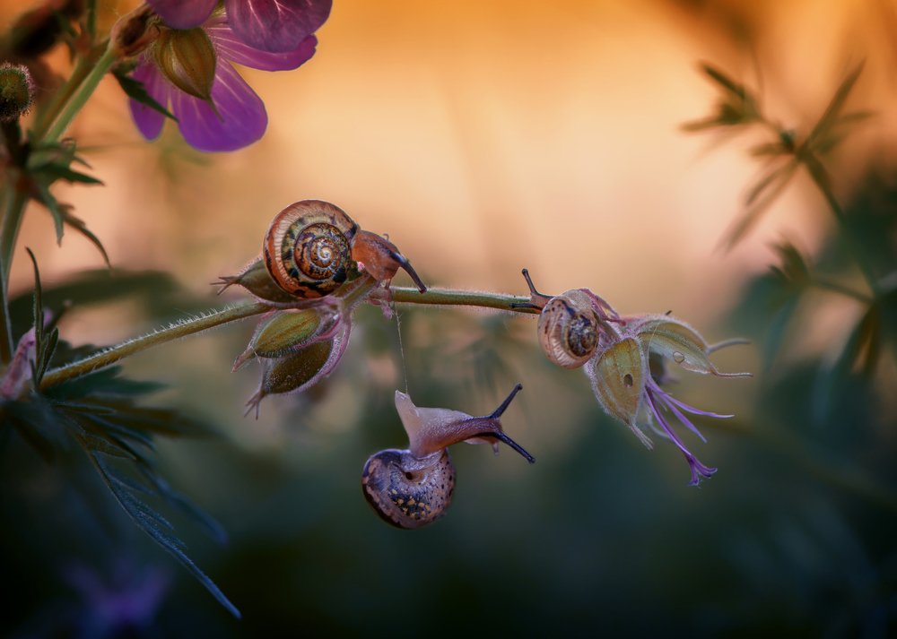 Эй, ты куда???