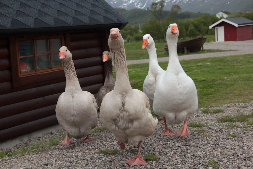 Photograph by Лада Денисова