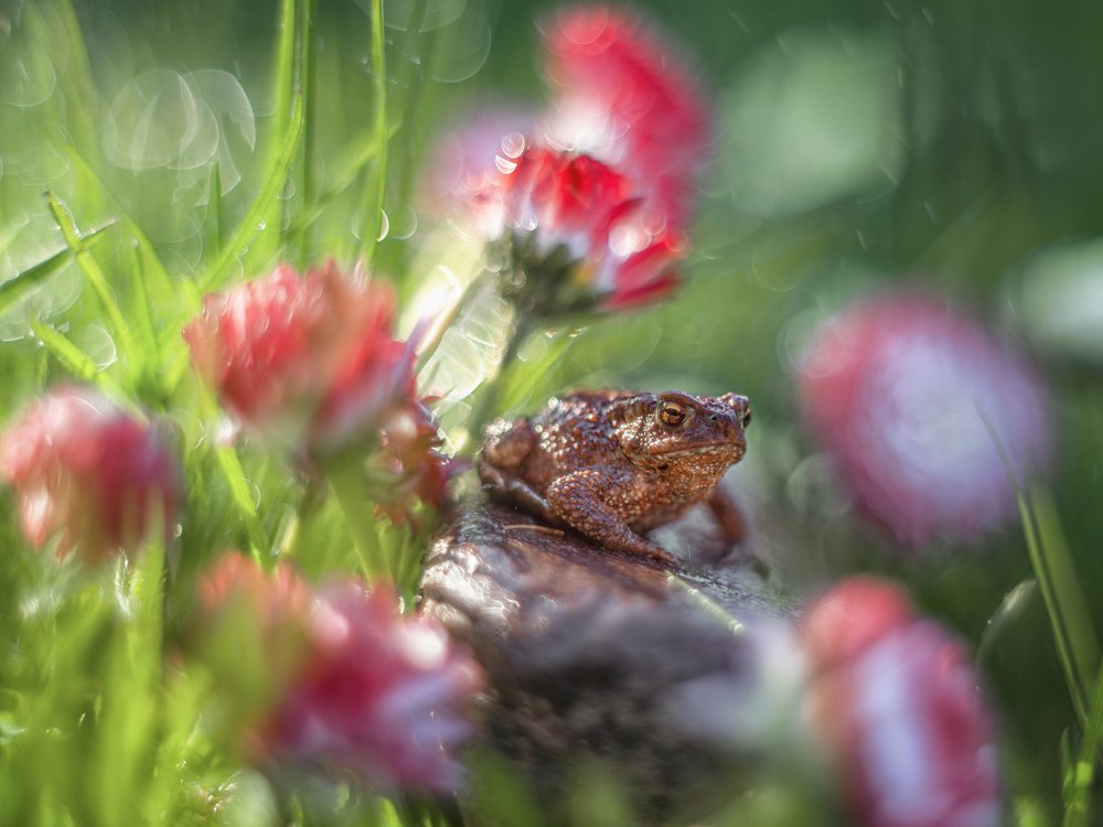 Photograph by Анастасия Третьякова