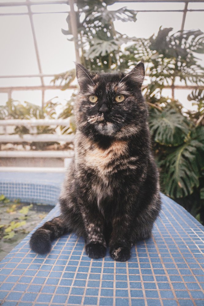 Photograph by Ангелина Быстрова