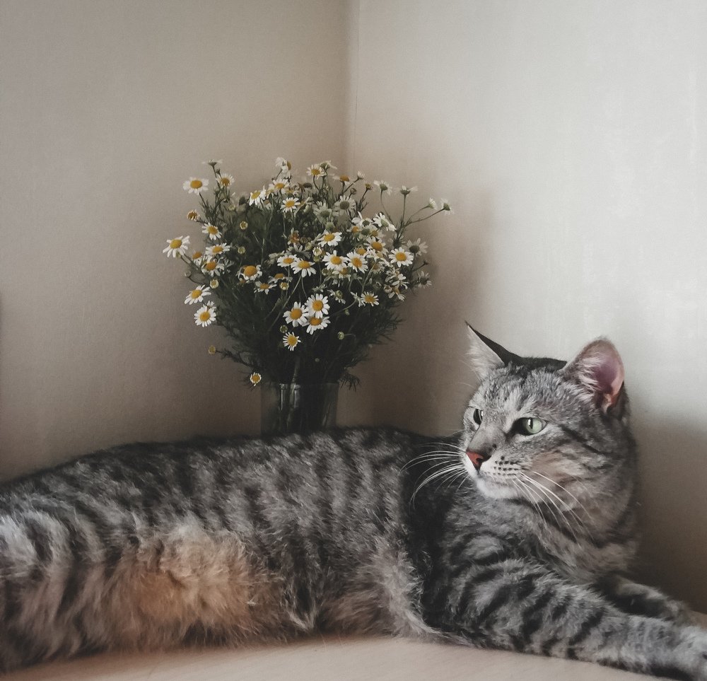 Photograph by Ангелина Быстрова