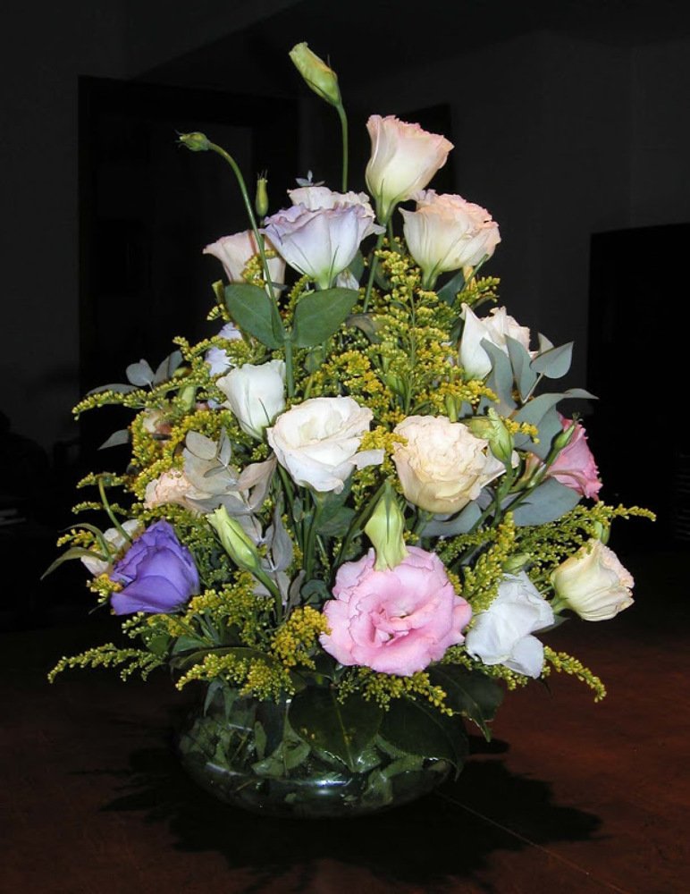 Photograph by Berenice Goelzer