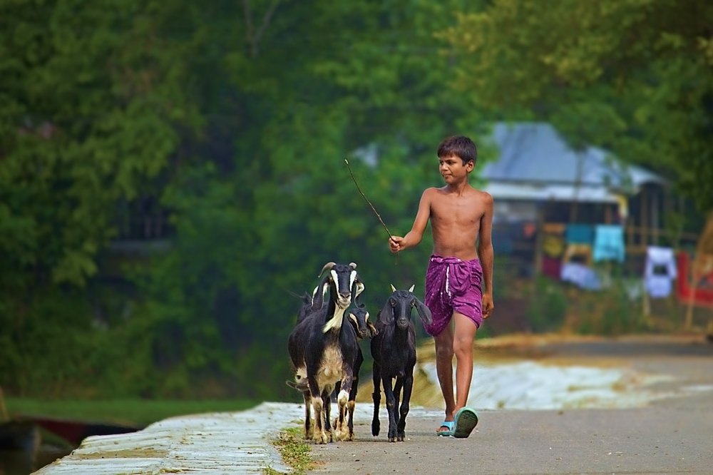 Photograph by Kayes Md Imrul