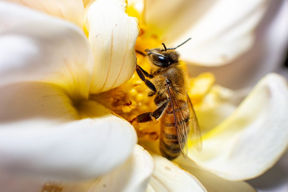 Photograph by Marcin Mirek