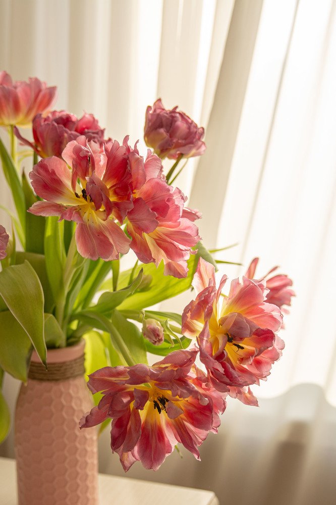 Photograph by Екатерина Часова