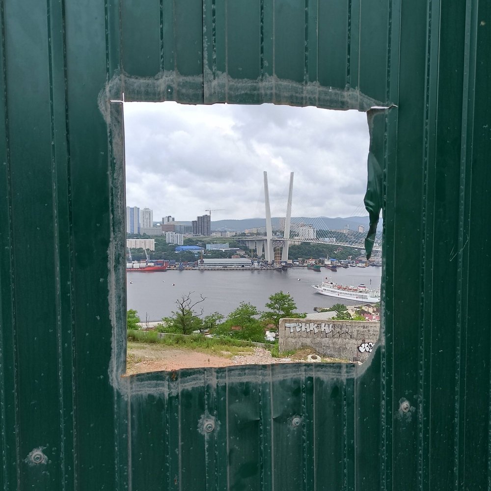 Ограниченный обзор